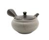 Yamakiikai Yamabo Gray Circle Pink Cherry Blossom Teapot Y521