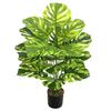 Nordic Style Variegated Monstera: Potted Plant for Home & Garden Decor