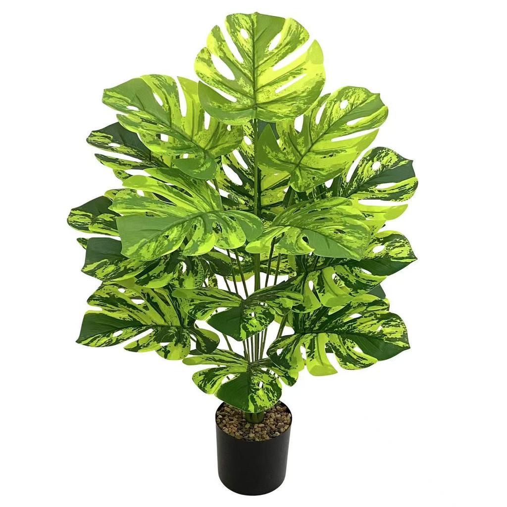 Nordic Style Variegated Monstera: Potted Plant for Home & Garden Decor