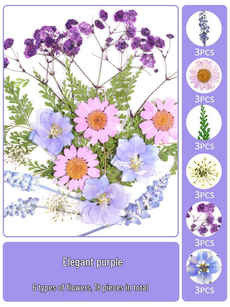 Creative DIY Bookmark Kit: Blank Cards with Embossed Dried Flowers and Leaves