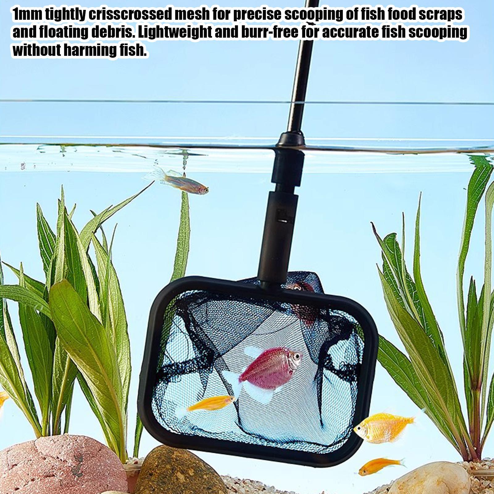 

Fish Tank Cleaning 4-in-1 Gravel Scraper Fish Tank Cleaning Tools For Betta Turtle Shrimp Pond Terrarium Freshwater Saltwater China Mainland