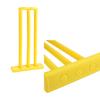Kids Cricket Set Plastic Cricket Bat with 2 Balls and Stumps Backyard Sports Game Interactive Board Game Easy To Play