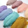 Fai da te 10 pezzi di piume di struzzo colorate da 20-55 cm, adatte per centrotavola nuziali, maschere di carnevale, decorazioni artigianali e wi