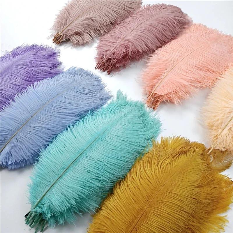 Fai da te 10 pezzi di piume di struzzo colorate da 20-55 cm, adatte per centrotavola nuziali, maschere di carnevale, decorazioni artigianali e wi