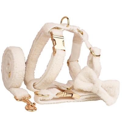 Ensemble Collier et Laisse pour Chien en Polaire Teddy Blanc avec Gravure Personnalisée