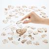 Beverly 55-piece jigsaw puzzle, Squirrel, 50295