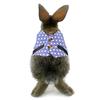 Pet Harness and Leash Small Animal Suit Vest Harness Outdoor Activity Training Small Pet Leash Clothes for Guinea Pigs