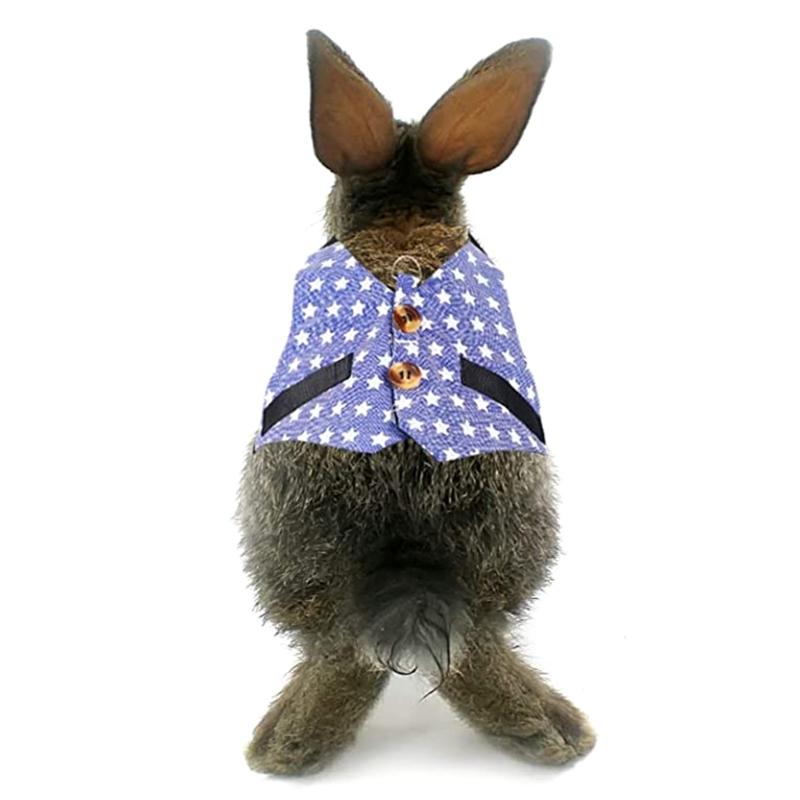 Pet Harness and Leash Small Animal Suit Vest Harness Outdoor Activity Training Small Pet Leash Clothes for Guinea Pigs