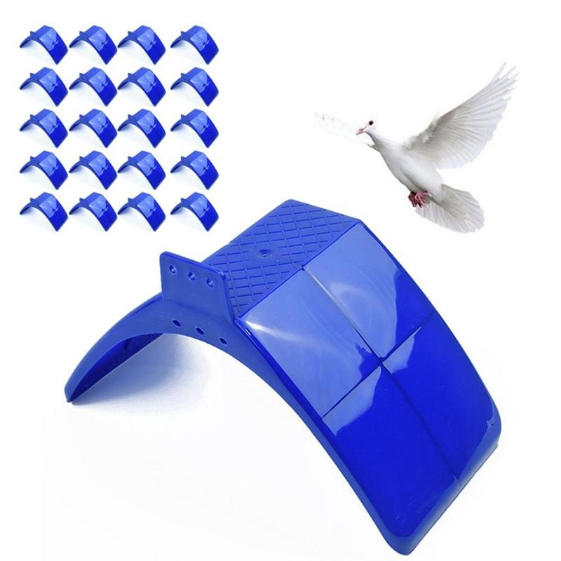 M-Modern-30Pcs Birds Dove Pigeon Rest Stand Frame Dwelling Roost Perches Birds Rest Stand Frame Dwelling Perch Bird Supplies Eas