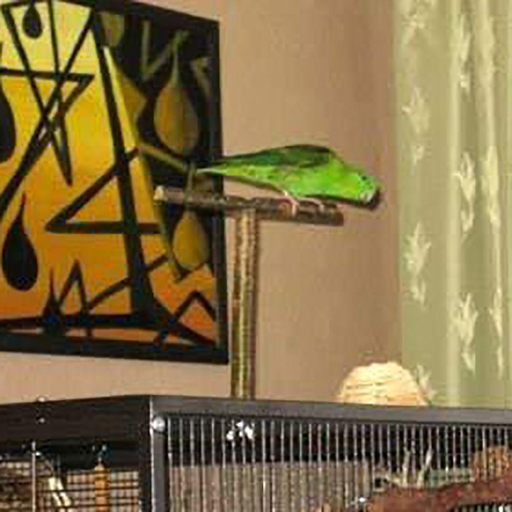 Use on Cage Grinding Perch Natural T Shape Branch Parakeet Chewing Toy Bird Toy Parrot Stand Wood