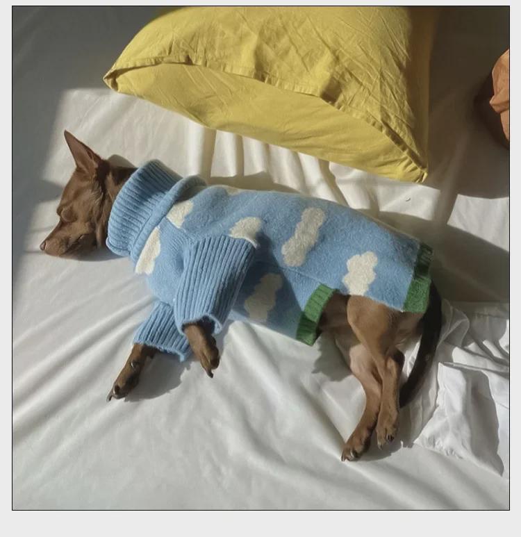 Neuer Welpen- und Katzenpullover - Haustierkleidung für Frühling bis Winter