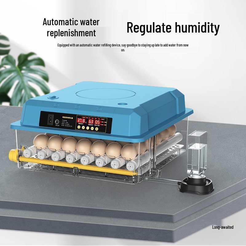 Smart Mini Household Incubator: Fully Automatic Quail & Chicken Egg Incubator with Constant Temperature Control