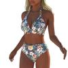 New European and American Tropical Printed Bikini Women's Split Swimsuit Sexy Suspender High Waist Beach Vacation Swimming