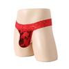 2025 new thong seduction panties lace sexy passion sexy thong