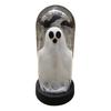 Halloween Ghost Decoration Lighted Ghost in Glass Dome Cloche Cute