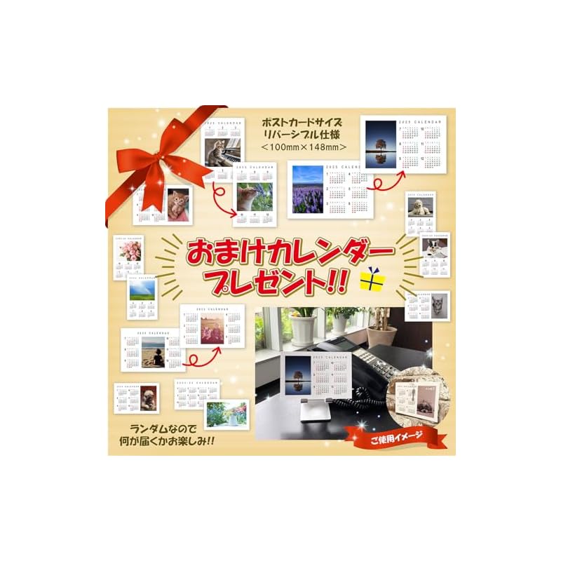 [Bonus Included] Great Fortune and Good Luck 2026 Wall Calendar CL-665 CL26-665