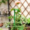 Plant Support Metal Ring Support Poles Tomato Trellis Climbing Plant Holder For Flower Tomato Vegetable Peony Orchid Outdoor