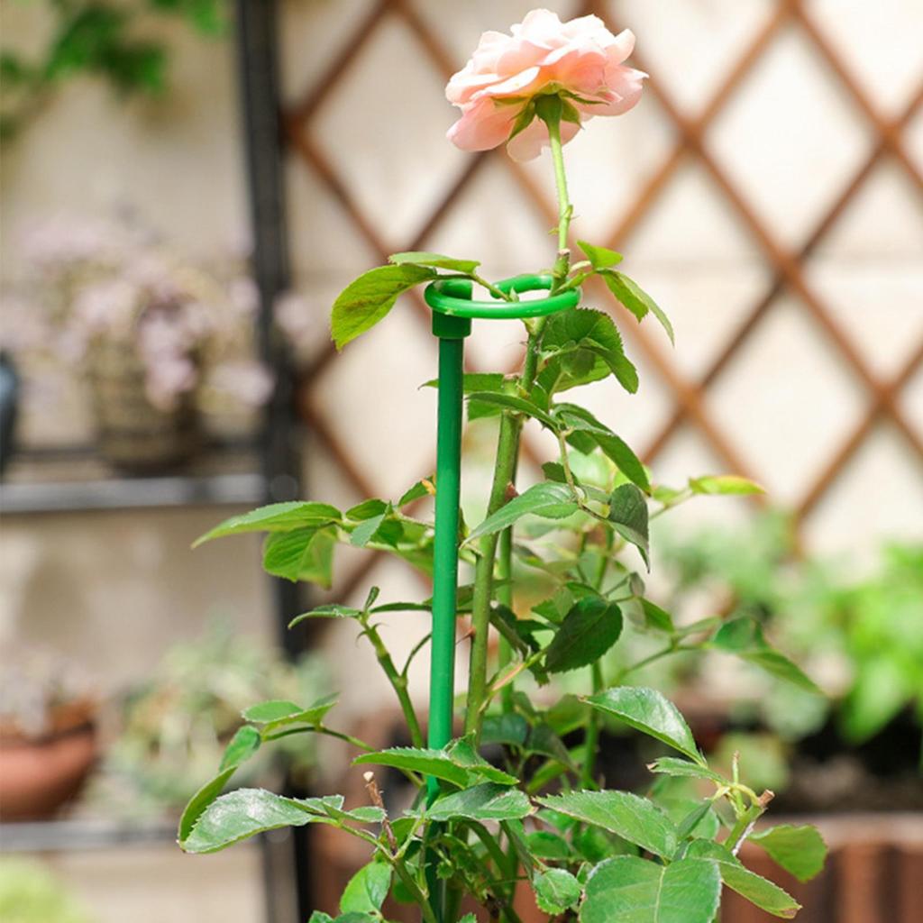 Plant Support Metal Ring Support Poles Tomato Trellis Climbing Plant Holder For Flower Tomato Vegetable Peony Orchid Outdoor