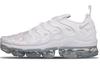 Air VaporMax Plus 'White Platinum' 924453-100
