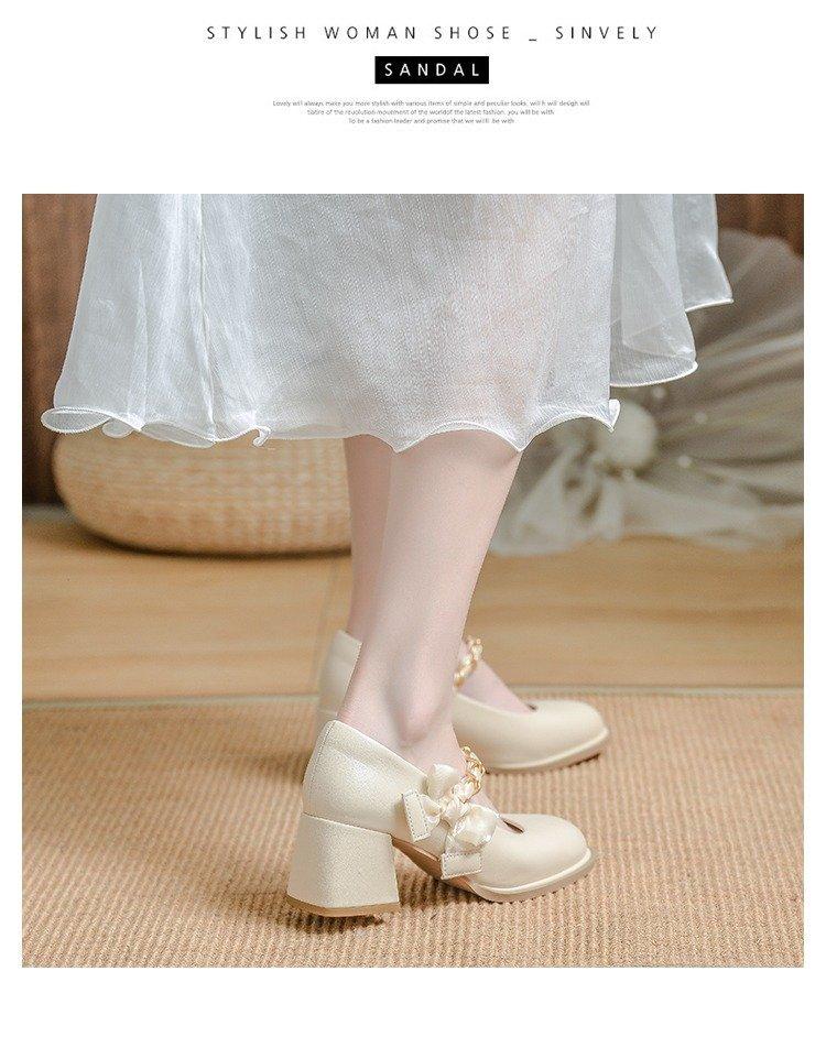 High Heels Women's Single Shoes 2025 Spring New Fairy Style Versatile Thick Heel Small Leather Shoes with Skirt Mary Jane Women's Shoes