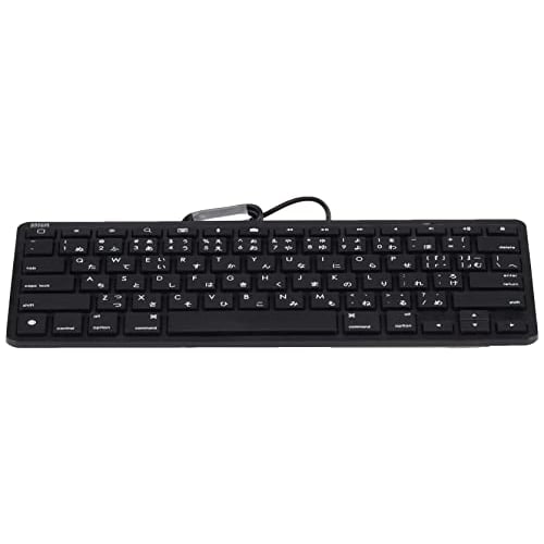 Sanwa Supply klávesnice pro iPad s kabelovým připojením Lightning, černá SKB-IP3BK