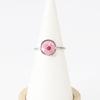 Stainless Steel Dried Flower Round Rings For Women Eternal Flower Open Finger Ring Jewelry Wedding Band Gift Wholesale New
