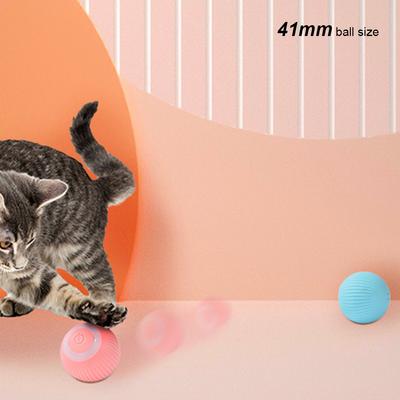 Kedi – Kedi Oyuncakları