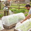 Rete Anti-Insetti a File per Giardino Tunnel Pop-Up per Aiuole da Giardino con Coulisse Rete per File di Ortaggi Protezione da Insetti e Uccelli per Ortaggi Frutta