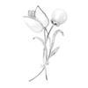 Broche Corsage Tulipán Perla - Elegante Pin de Moda para Mujer para Accesorios Versátiles de Traje o Abrigo.