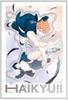 Ensky Capsule Jigsaw Puzzle Anime 273 Pieces - "Haikyu!!" Fly! (CC-JG01)