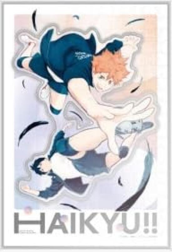 Ensky Capsule Jigsaw Puzzle Anime 273 Pieces - Haikyu!! Fly! (CC-JG01)
