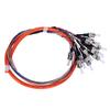 Fiber Pigtail Cable 12 Cores Multimode St UPC MM0.9 for Networks Communication System