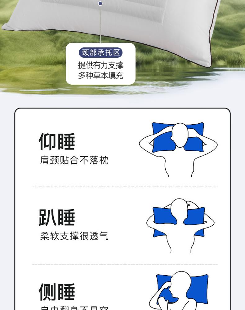 7A Antibacterial Cassia Seed Buckwheat Fiber Pillow