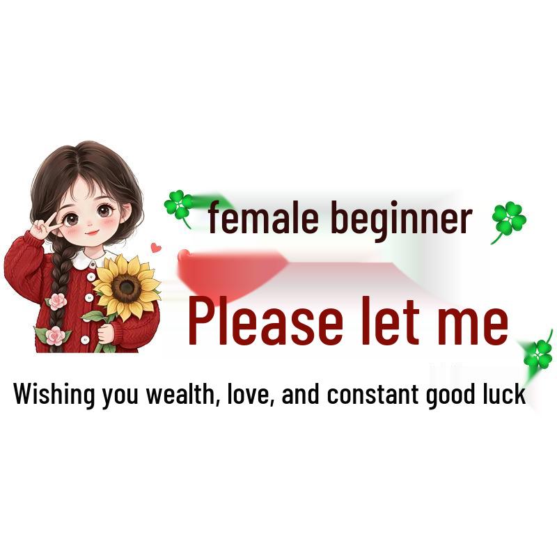 Wishing You Prosperity: Reflective Car Windshield Warning Sticker for New Interns