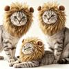 Pet Lion Wig Head Cover with Cute Rabbit Ears Funny Halloween Cosplay Hat for Cats & Dogs Kitten Puppy Party Dress Up Accessory