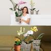 3 Inch Orchid Pot,10 Pcs Net Cup Pots with Holes and Saucers,White Net Pot Mesh Pot Net Cup Basket Hydroponic,Breathable Slotted Plastic Orchid