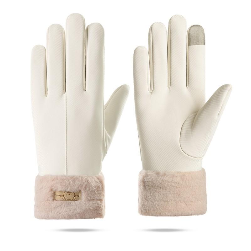 Warm Gloves Women's Autumn and Winter Fleece Thickened Touch Screen Windproof and Water-proof Fashionable Skiing Driving and Riding Gloves