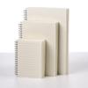 Clear PP Cover Spiral Notebook, Student Grid & Lined, Large B5 Size