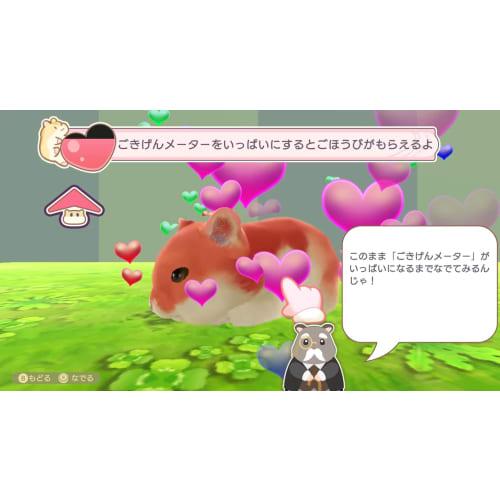 Hampafe Hamster Sweets Puzzle -switch  [permanent Enclosure Bonus] Hampafe Seal Included