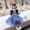 Frozen Elsa Dress Girls Autumn New Long Sleeve Mesh Skirt Baby Girl Princess Elsa Skirt