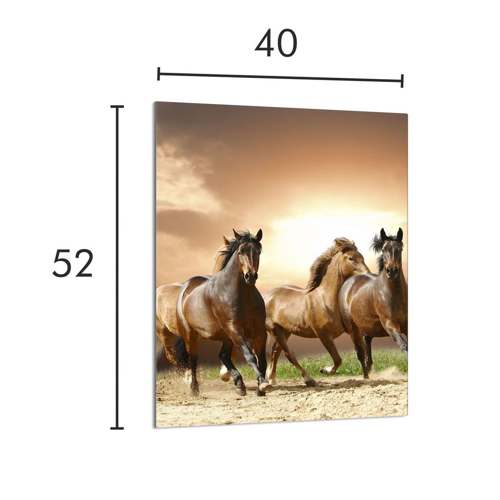 SZKLANA DESKA DO KROJENIA 40x52 Konie