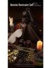 Erotic Bondage Set: Lower Body Training & SM Tools