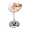 Conch Shell Wine Glass Wedding Wine Cup Martini Goblet Cocktail Drinkware Drinking Stemware for Birthday Wedding
