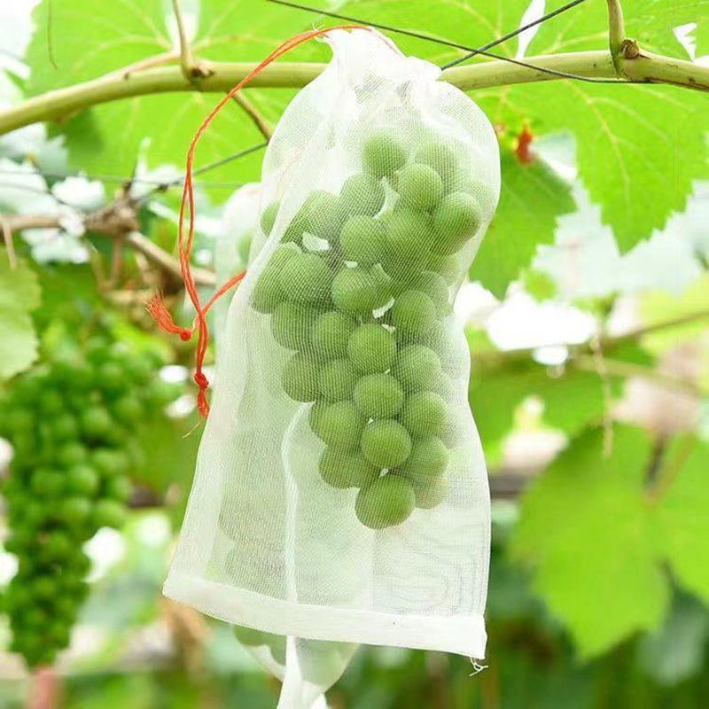 Nylon-Netzbeutel, Obst-Insektenbeutel, Vogelbeutel, Reis-Einweichbeutel, Samenbeutel, Zuchtbeutel, Garn-Netzbeutel, Absacken
