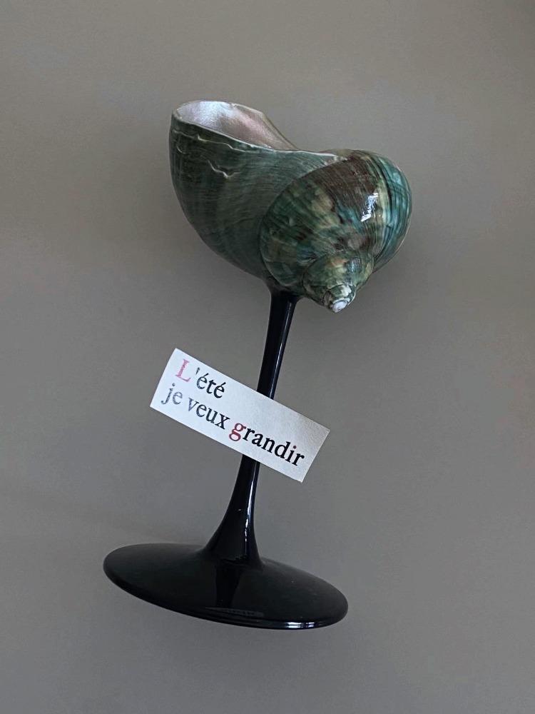 Handmade Tall Wine Glass, Natural Conch Shell, Wine Glass, Creative Design, Shell Tray Gift, High-end Decoration Interesting Cup