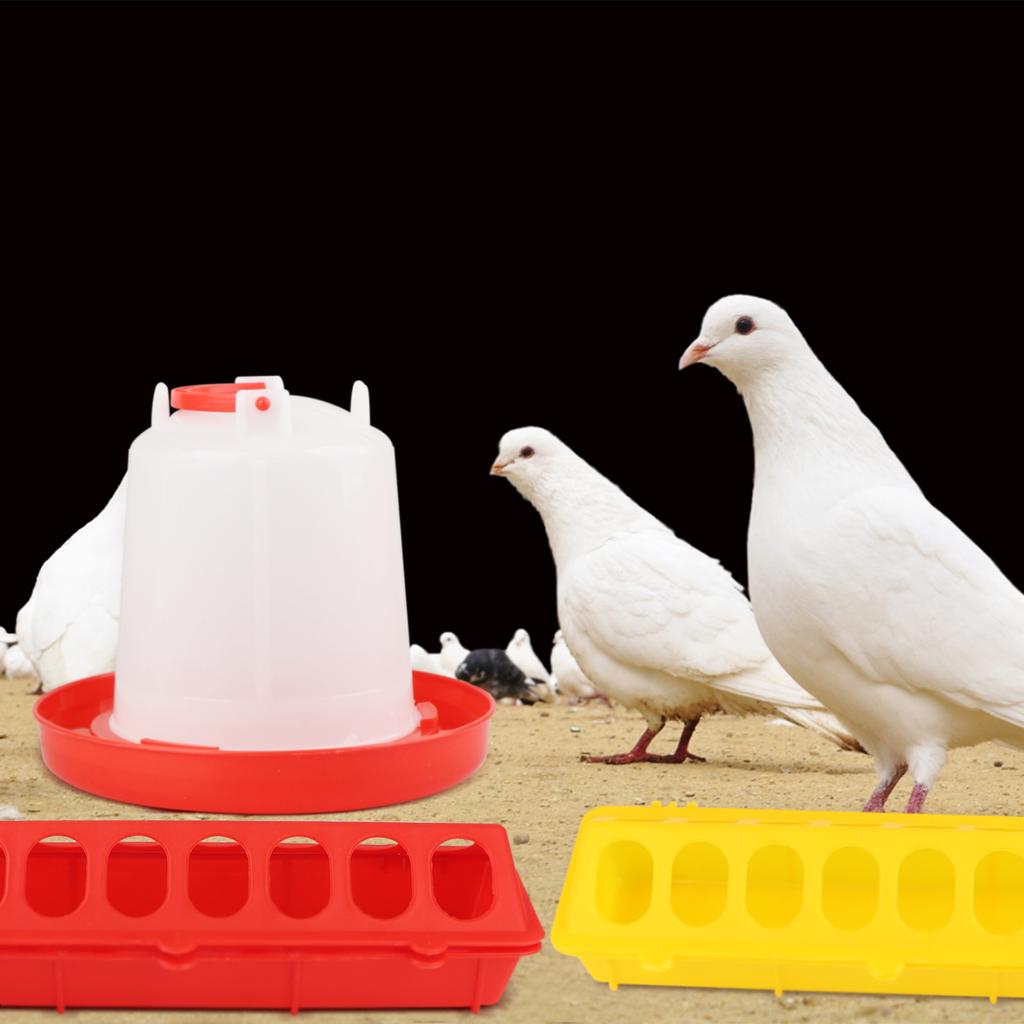 6 Plastic Flip Top Small Poultry Feeder for Pigeon Chicken Feeder Drinker