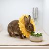 Sunflower Shaped et Recovery Collar Soft Foam Anti-Lick Neck Ring  Skin Recovery Care