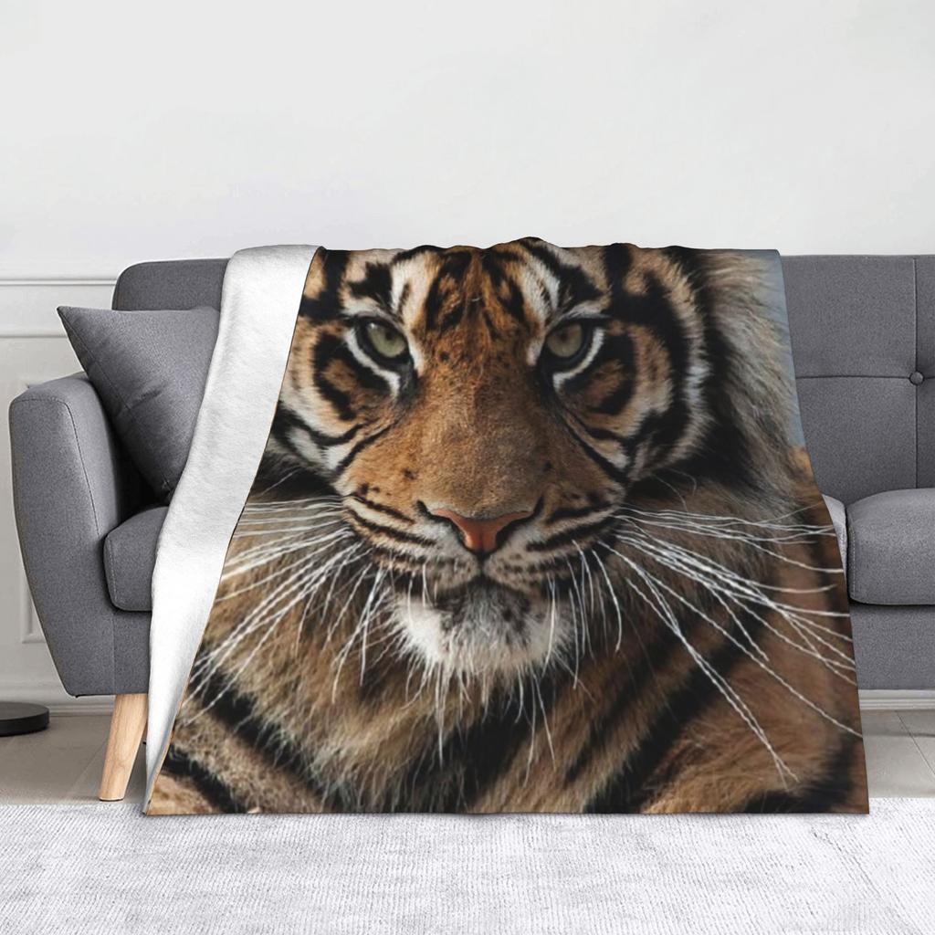 Tiger Wallpaper Art Blankets Velvet All Season Nature Animal Portable Ultra-Soft Throw Blankets for Bedding Couch Bedding Throws