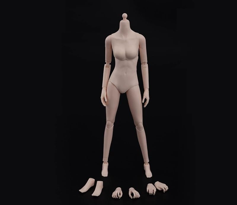 

Mocha Hobby Scale Action Figure ZYTOYS Small Bust Pearl White Skin Asian Western Beauty Female Body [TOYBARJAPAN] 1/6 ZY-B009