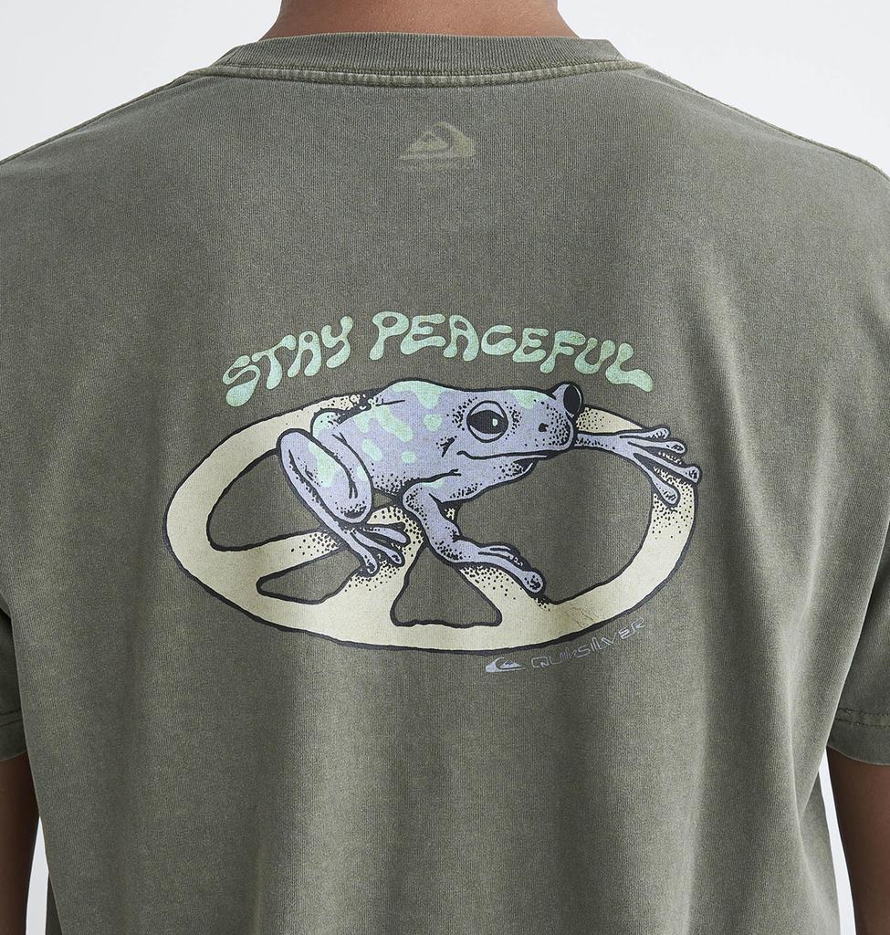 Quiksilver Pigment-Processed US Cotton Back Print T-Shirt QST241002 OLV XL